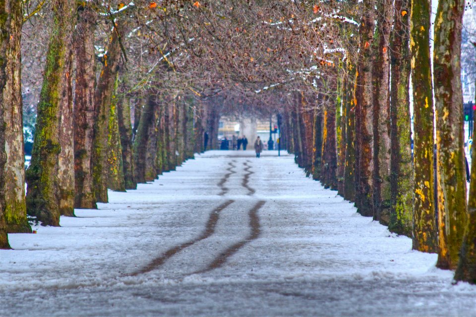 41 St. James's Park.jpg